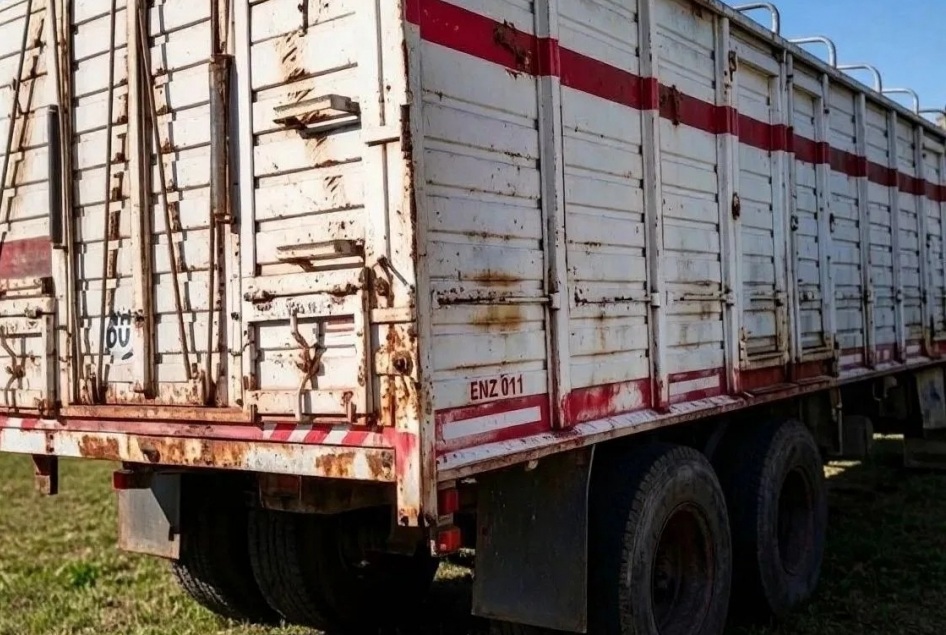 Грузовик со стадом нелегальных овец задержали на саратовской трассе